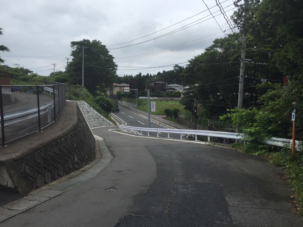 南部山運動公園〜フェリー埠頭までの意外と近いトレイルラン付きのラントリップの写真14