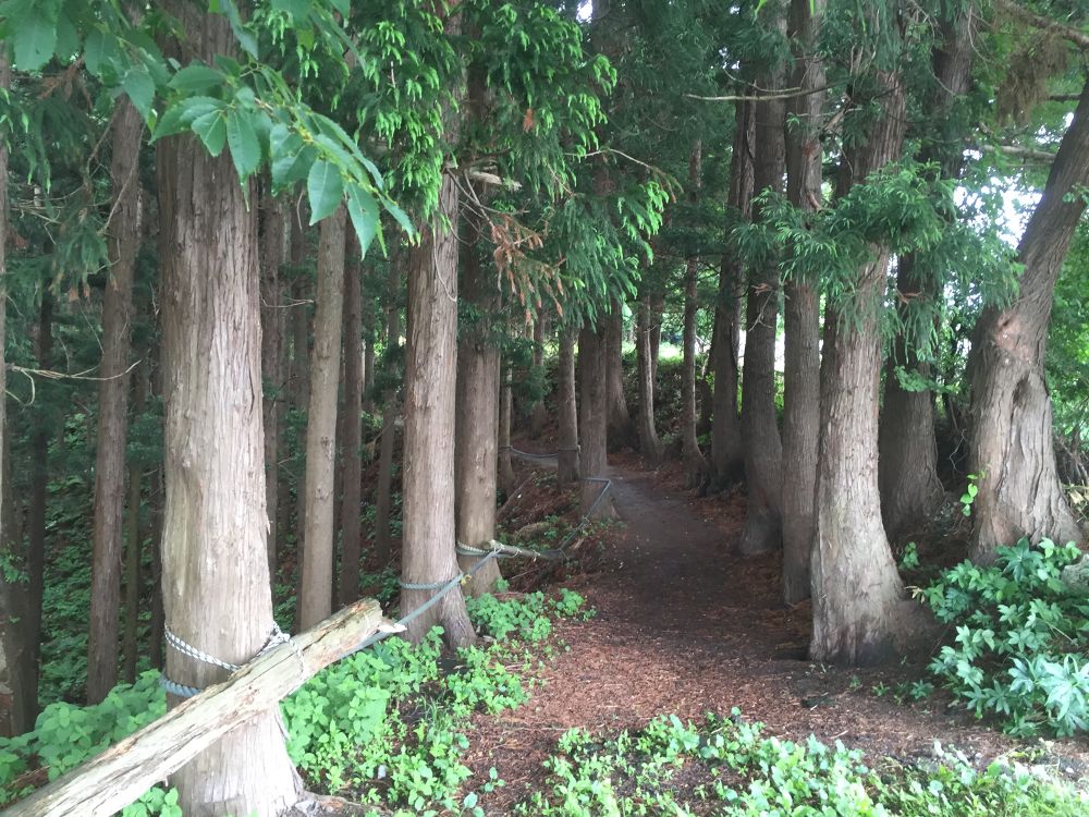 南部山運動公園〜フェリー埠頭までの意外と近いトレイルラン付きのラントリップの写真16