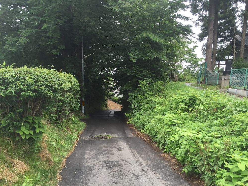 南部山運動公園〜フェリー埠頭までの意外と近いトレイルラン付きのラントリップの写真17