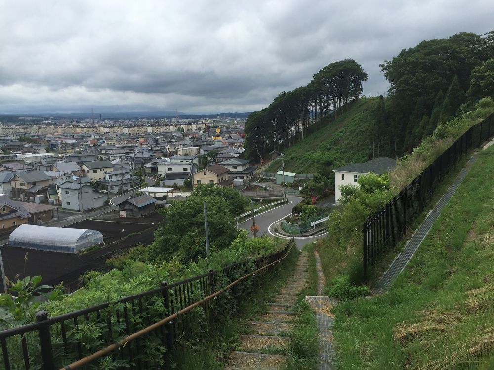 南部山運動公園〜フェリー埠頭までの意外と近いトレイルラン付きのラントリップの写真18