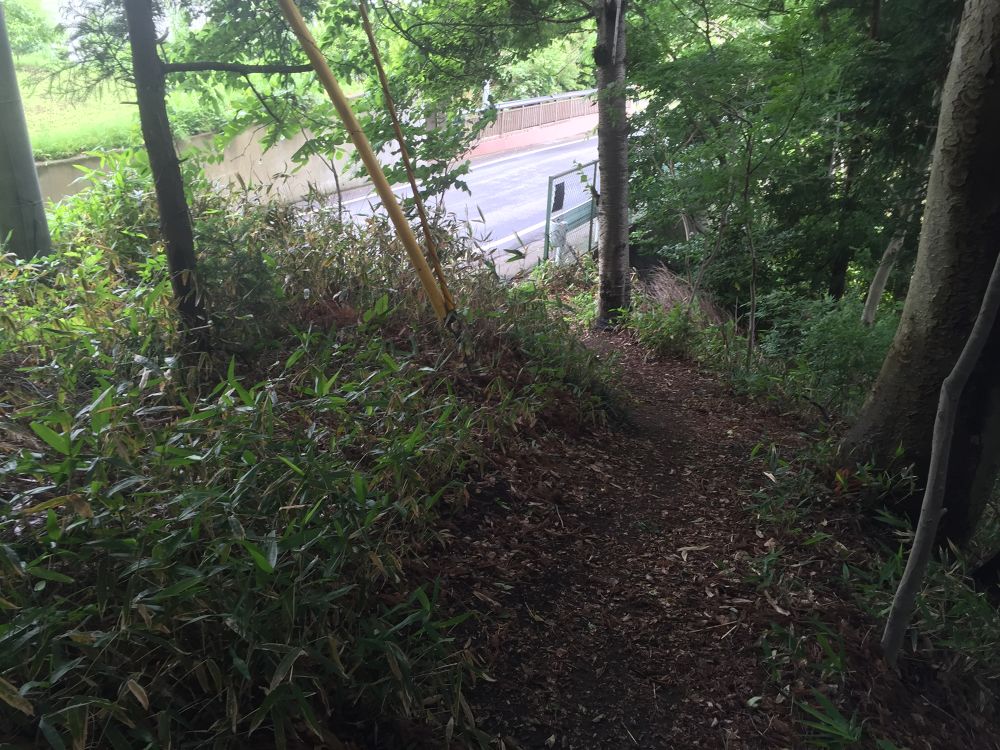 南部山運動公園〜フェリー埠頭までの意外と近いトレイルラン付きのラントリップの写真19