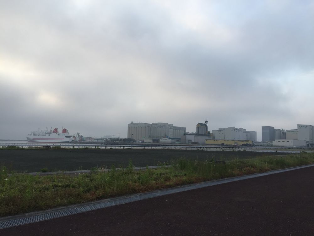 南部山運動公園〜フェリー埠頭までの意外と近いトレイルラン付きのラントリップの写真22