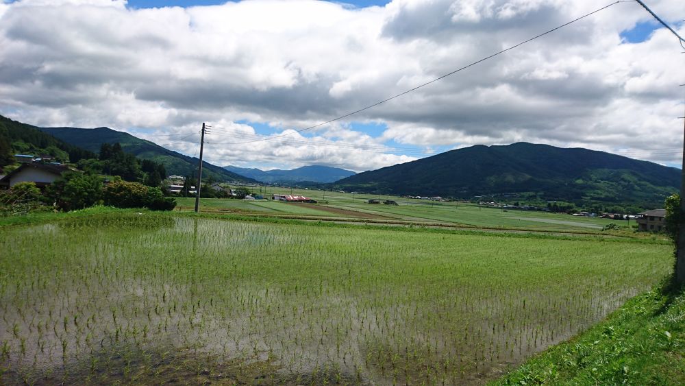 上りきるまで振り向くな！遠野駅～綾織町小峠周遊コースの写真4