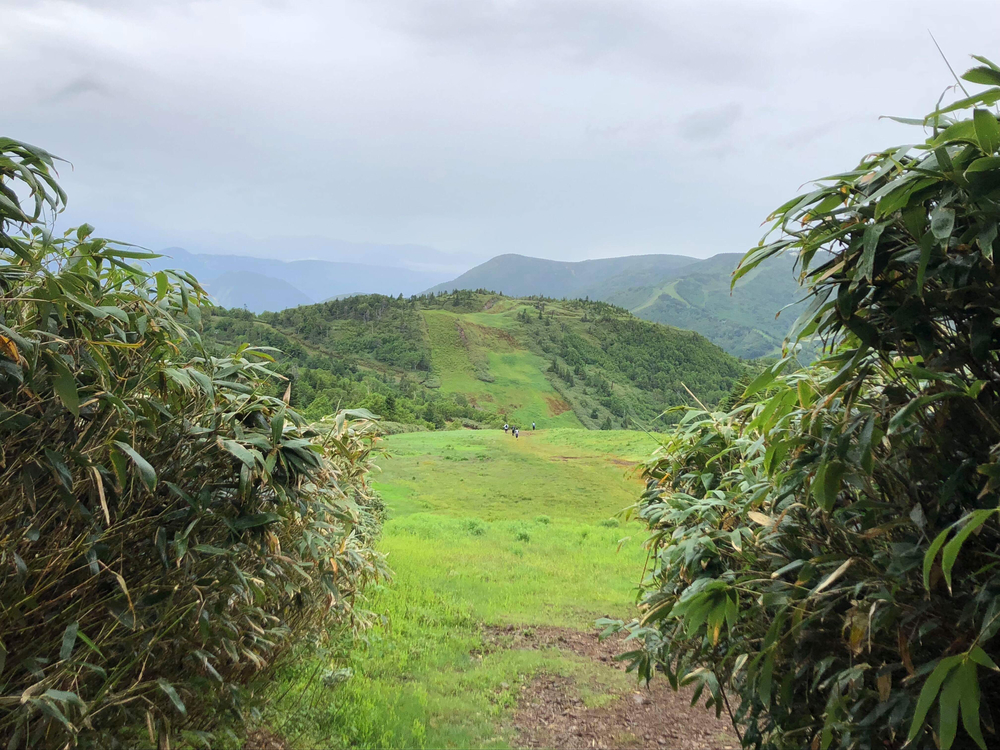 絶景！志賀高原マウンテントレイ本番コース！の写真3