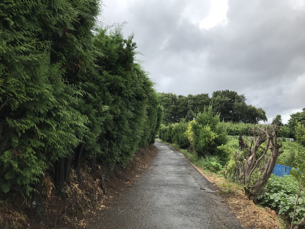 箱根駅伝 9×1/3区の写真5