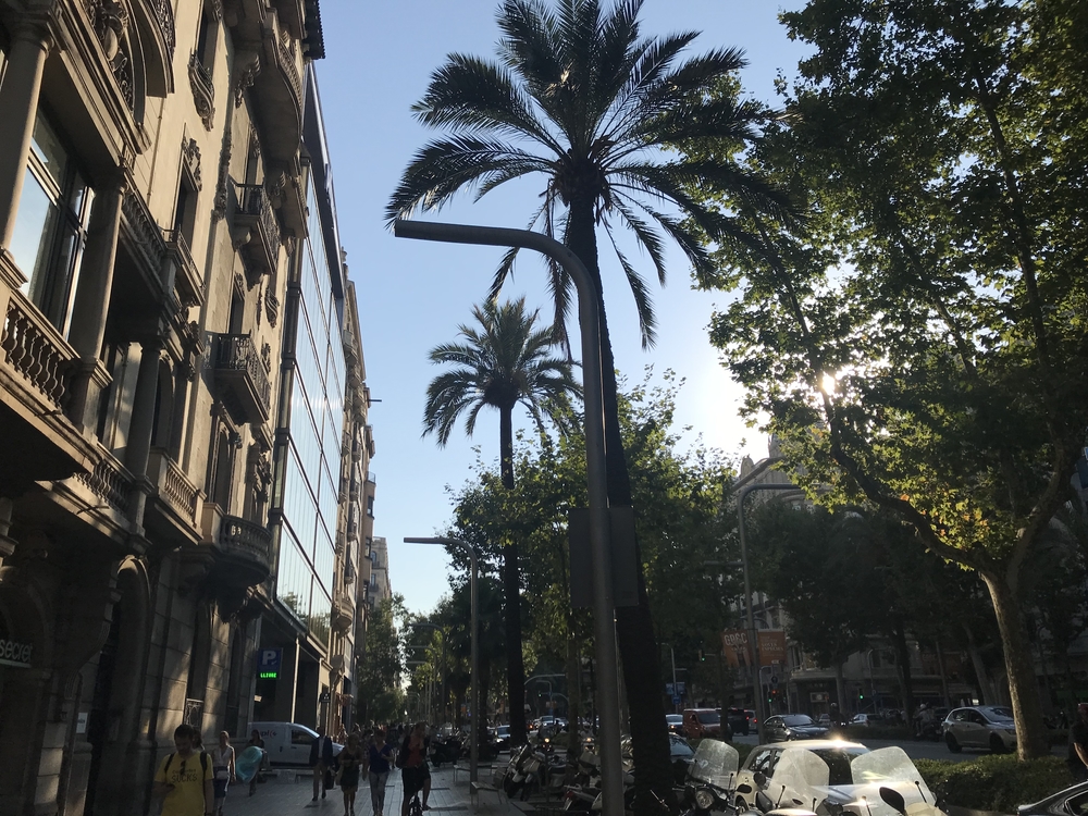 バルセロナ シティランの写真7