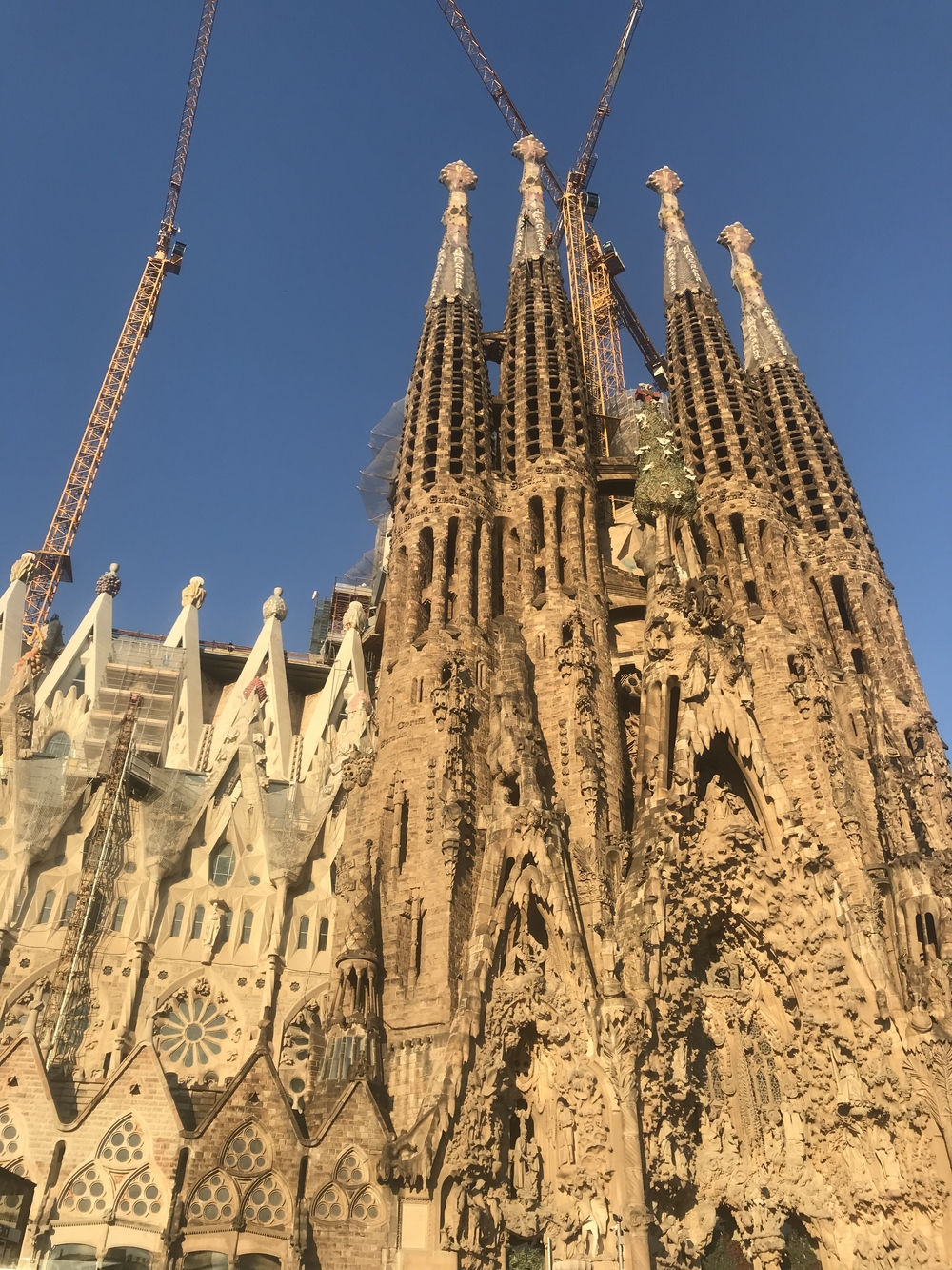 バルセロナ シティランの写真9