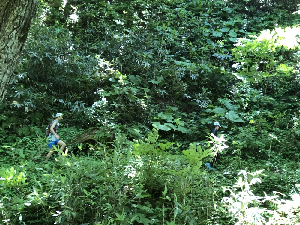 濃昼山道（ごきびるさんどう）の写真4