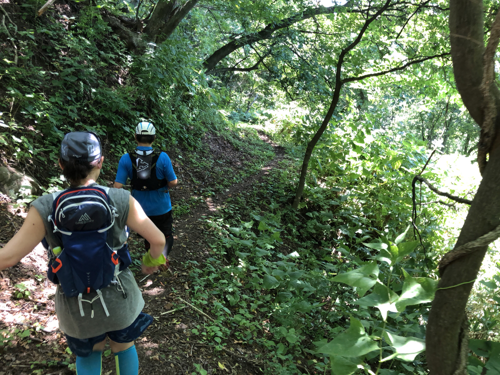 濃昼山道（ごきびるさんどう）の写真7