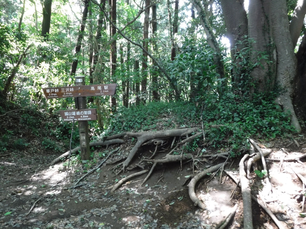 高尾城山の超大盛りかき氷と高尾のおいしいコーヒーを楽しみにがんばれるトレイルの写真3