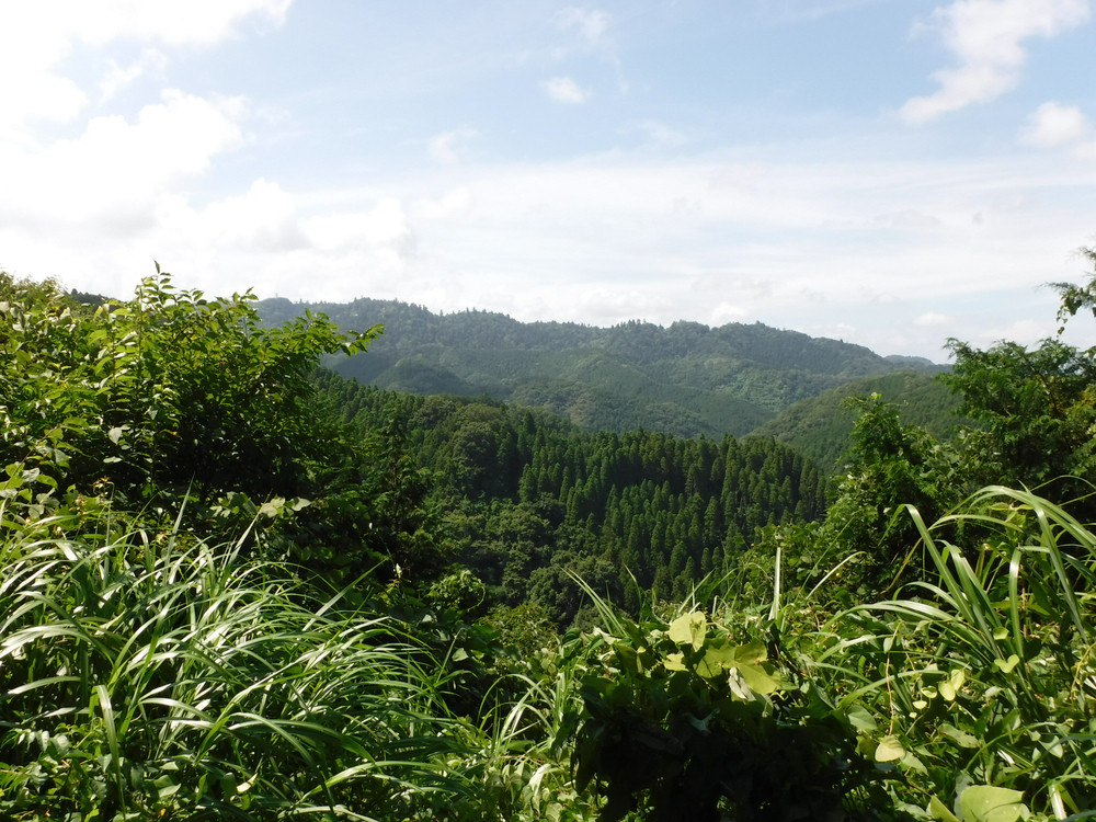高尾城山の超大盛りかき氷と高尾のおいしいコーヒーを楽しみにがんばれるトレイルの写真4