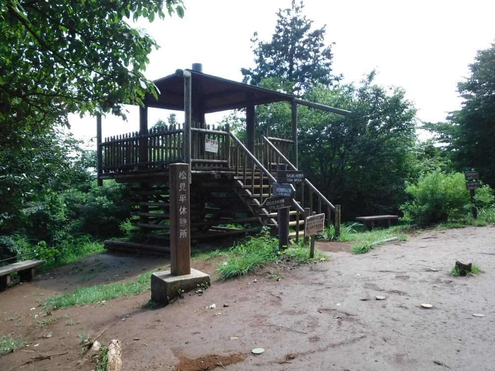 高尾城山の超大盛りかき氷と高尾のおいしいコーヒーを楽しみにがんばれるトレイルの写真5