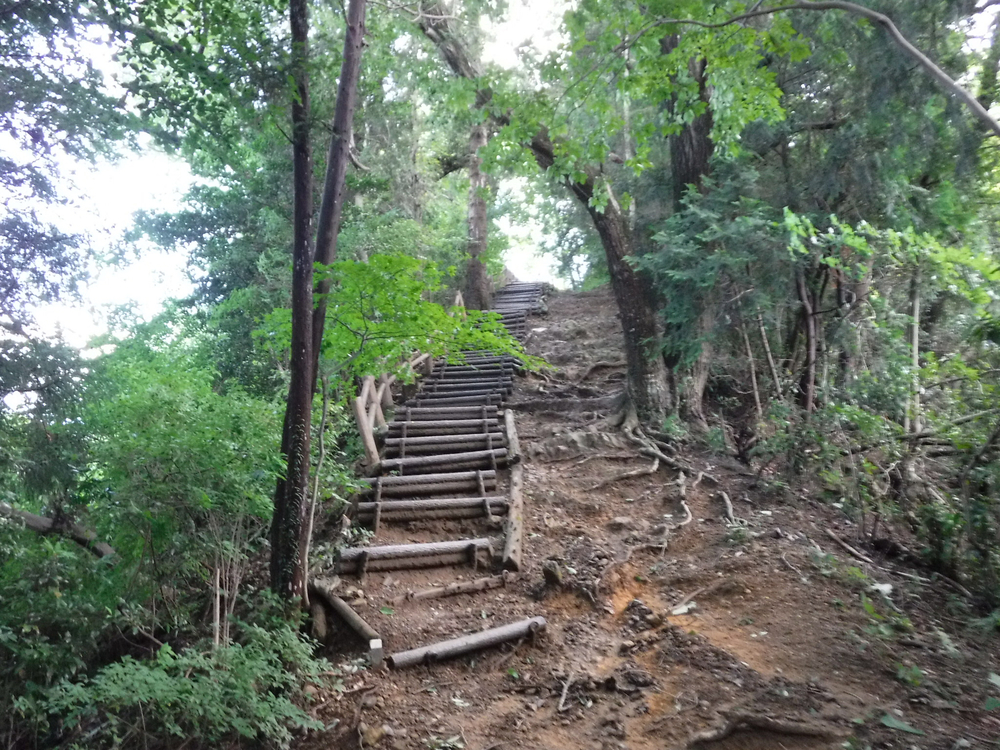高尾城山の超大盛りかき氷と高尾のおいしいコーヒーを楽しみにがんばれるトレイルの写真6