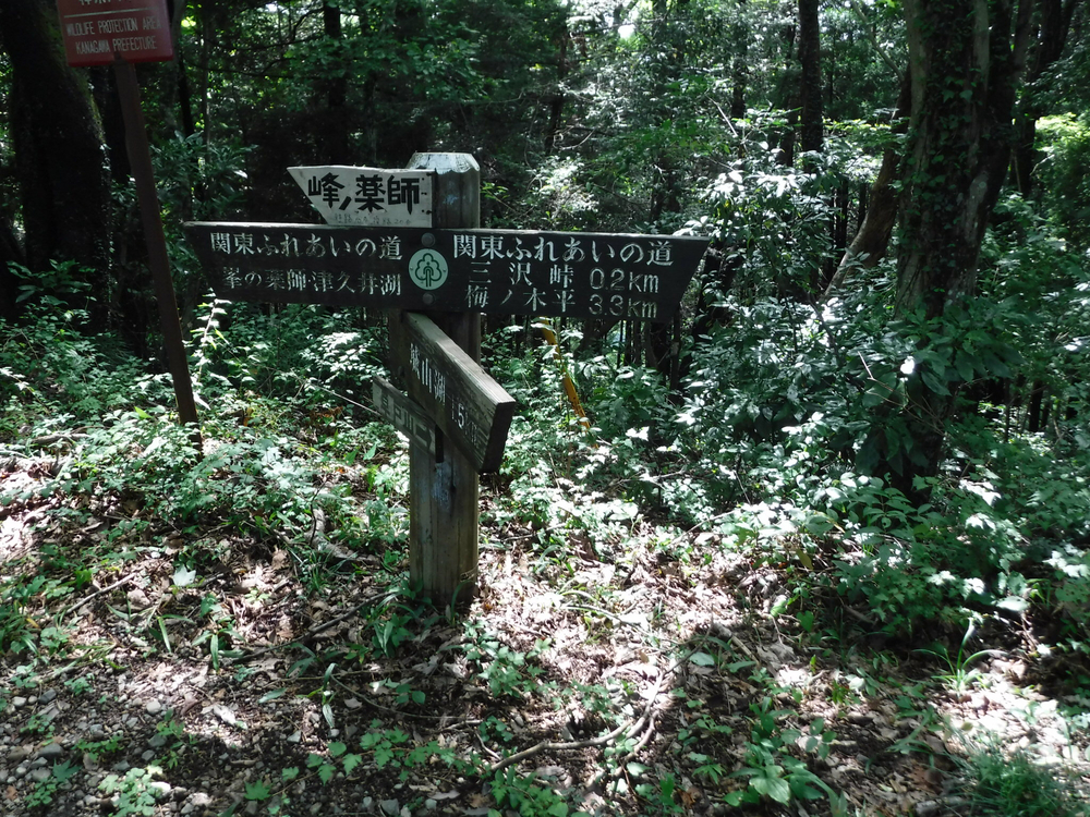 高尾城山の超大盛りかき氷と高尾のおいしいコーヒーを楽しみにがんばれるトレイルの写真7