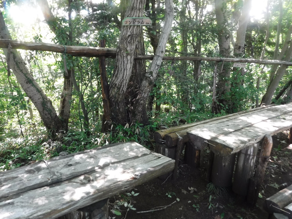 高尾城山の超大盛りかき氷と高尾のおいしいコーヒーを楽しみにがんばれるトレイルの写真10