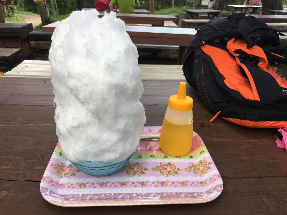 高尾城山の超大盛りかき氷と高尾のおいしいコーヒーを楽しみにがんばれるトレイルの写真13