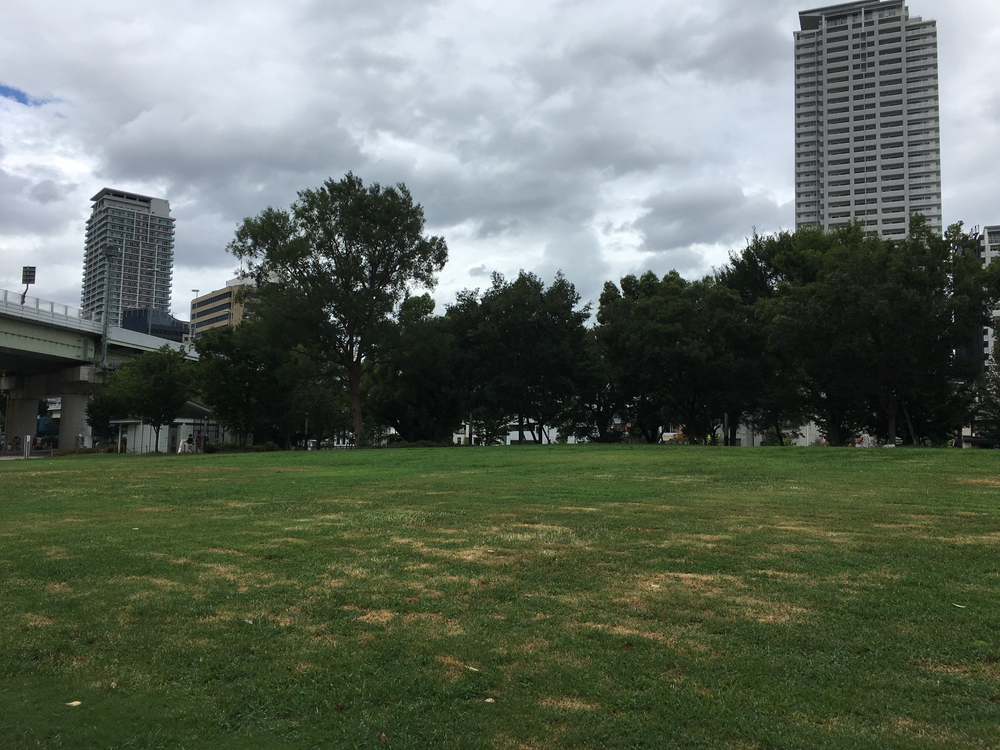 大阪中之島で緑を楽しむコースの写真3