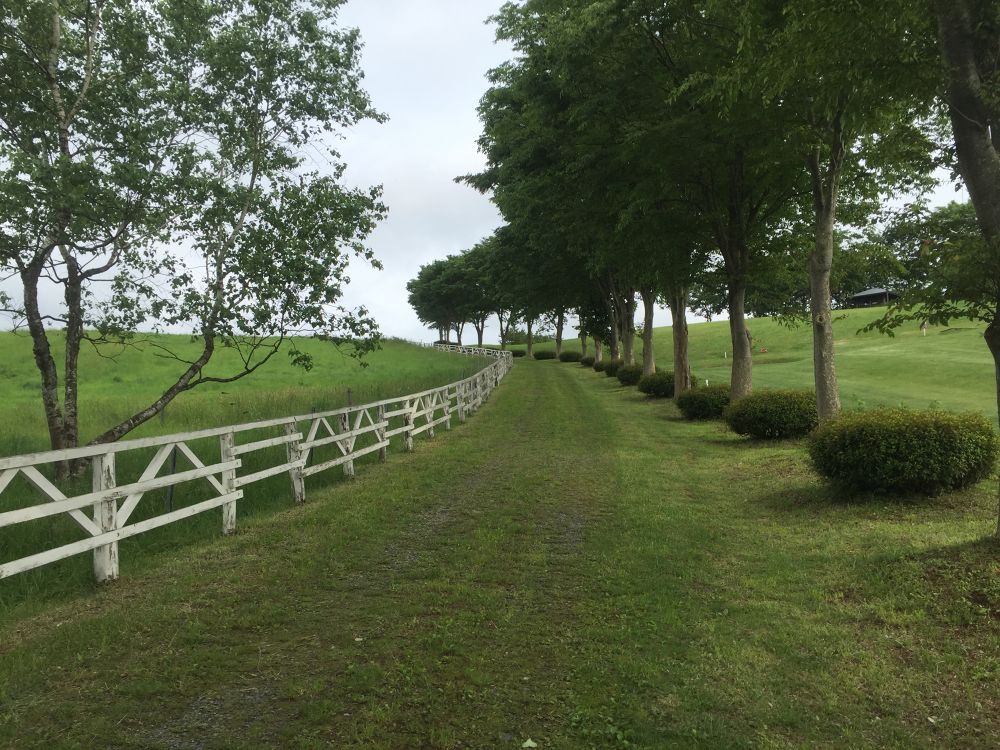 有森裕子氏が走り染めしたという記念カントリーコースを走る八戸から50分！の写真3