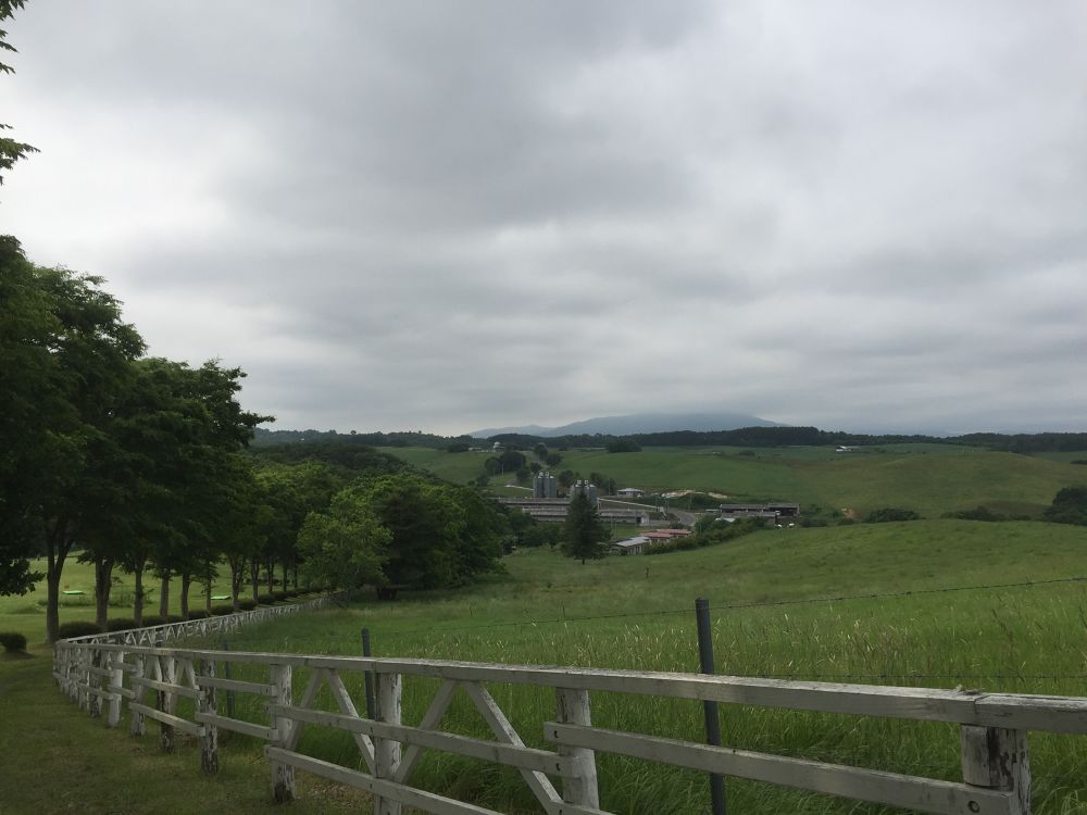 有森裕子氏が走り染めしたという記念カントリーコースを走る八戸から50分！の写真4