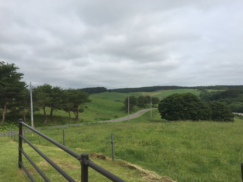 有森裕子氏が走り染めしたという記念カントリーコースを走る八戸から50分！の写真6