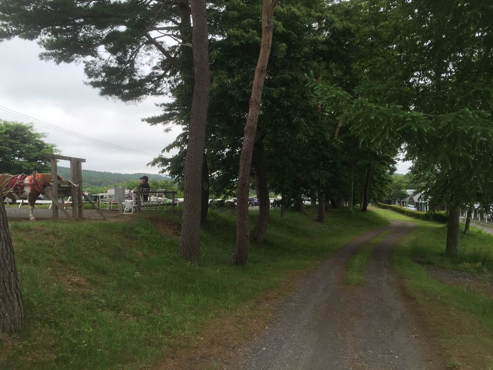 有森裕子氏が走り染めしたという記念カントリーコースを走る八戸から50分！の写真10