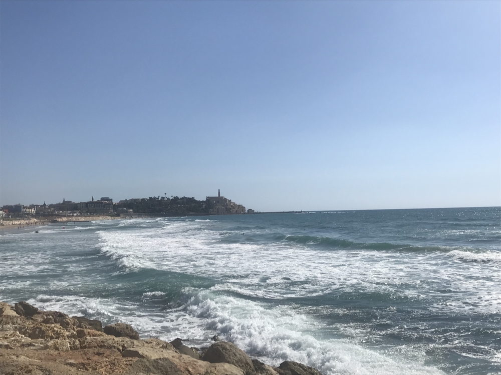 地中海沿いテレアビフ観光ランの写真3