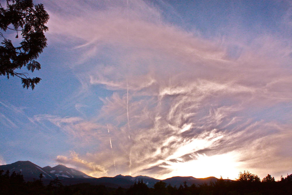 素晴らしき自然の宝庫・乗鞍高原の遊歩道の写真13