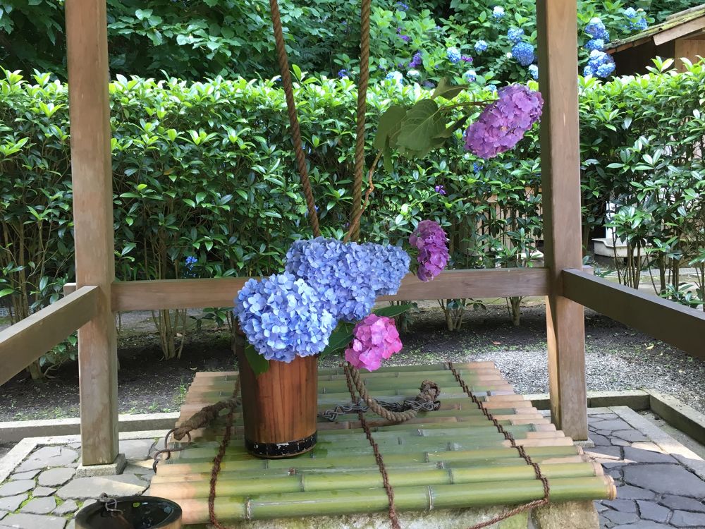 ぶらり鎌倉ラン／寺とあじさいと海、温泉とビールでフィニッシュ！の写真3