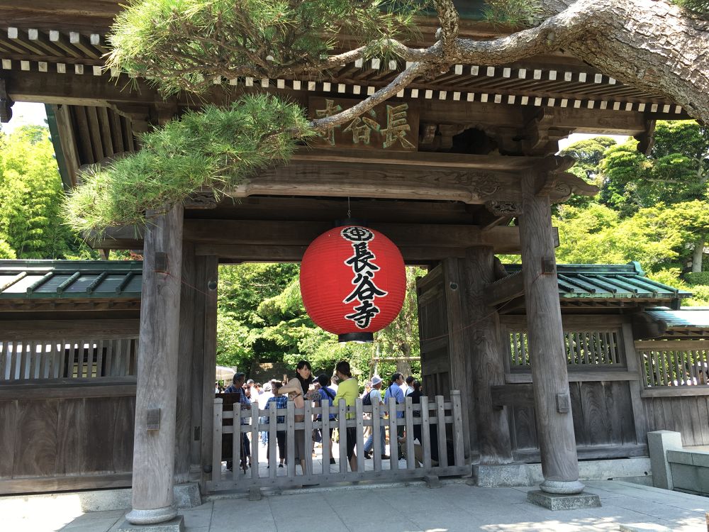 ぶらり鎌倉ラン／寺とあじさいと海、温泉とビールでフィニッシュ！の写真6