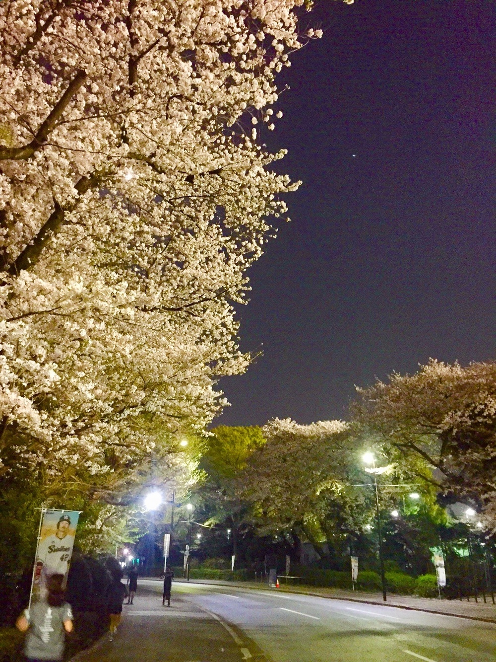 渋谷⇔東京タワー10kmランの写真3