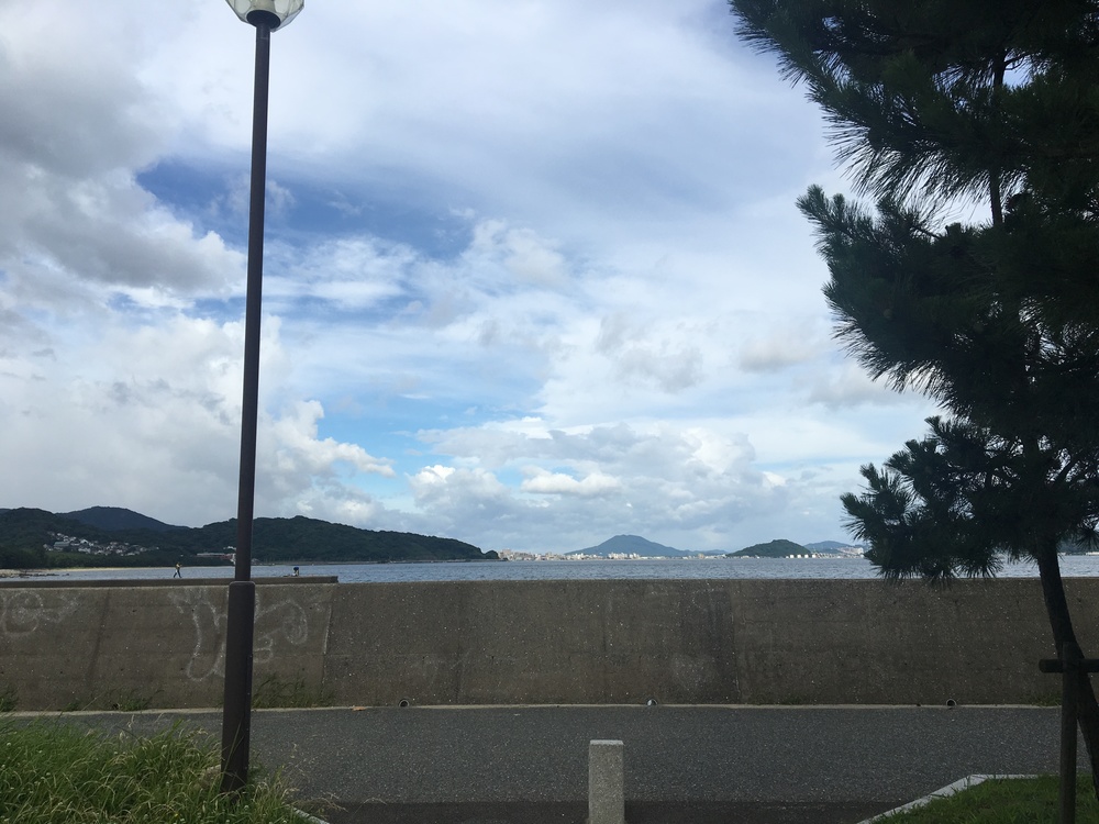 朝焼けの博多湾海岸沿いコースの写真4