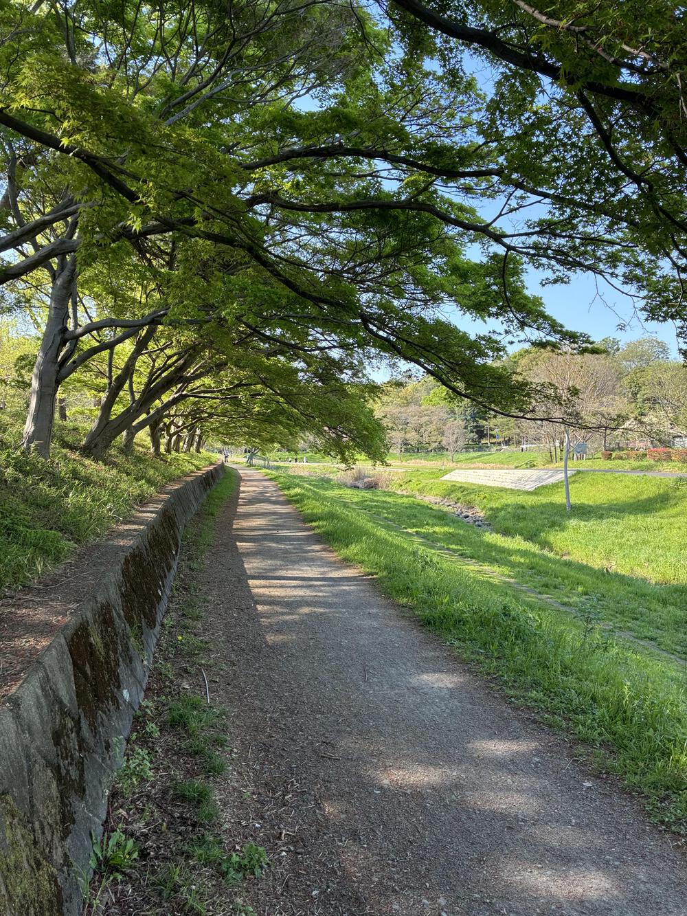 野川公園&武蔵野公園 贅沢横断周回コース 5.75kmの写真5