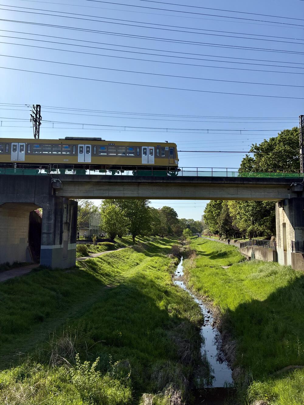野川公園&武蔵野公園 贅沢横断周回コース 5.75kmの写真8