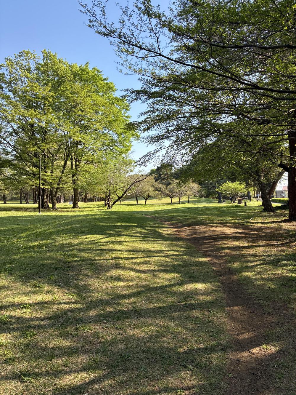 野川公園&武蔵野公園 贅沢横断周回コース 5.75kmの写真9