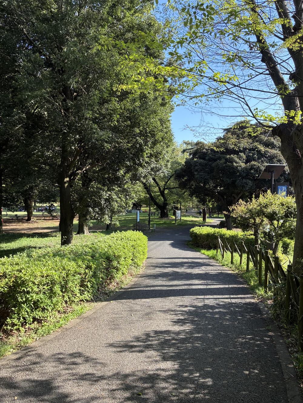 野川公園&武蔵野公園 贅沢横断周回コース 5.75kmの写真11