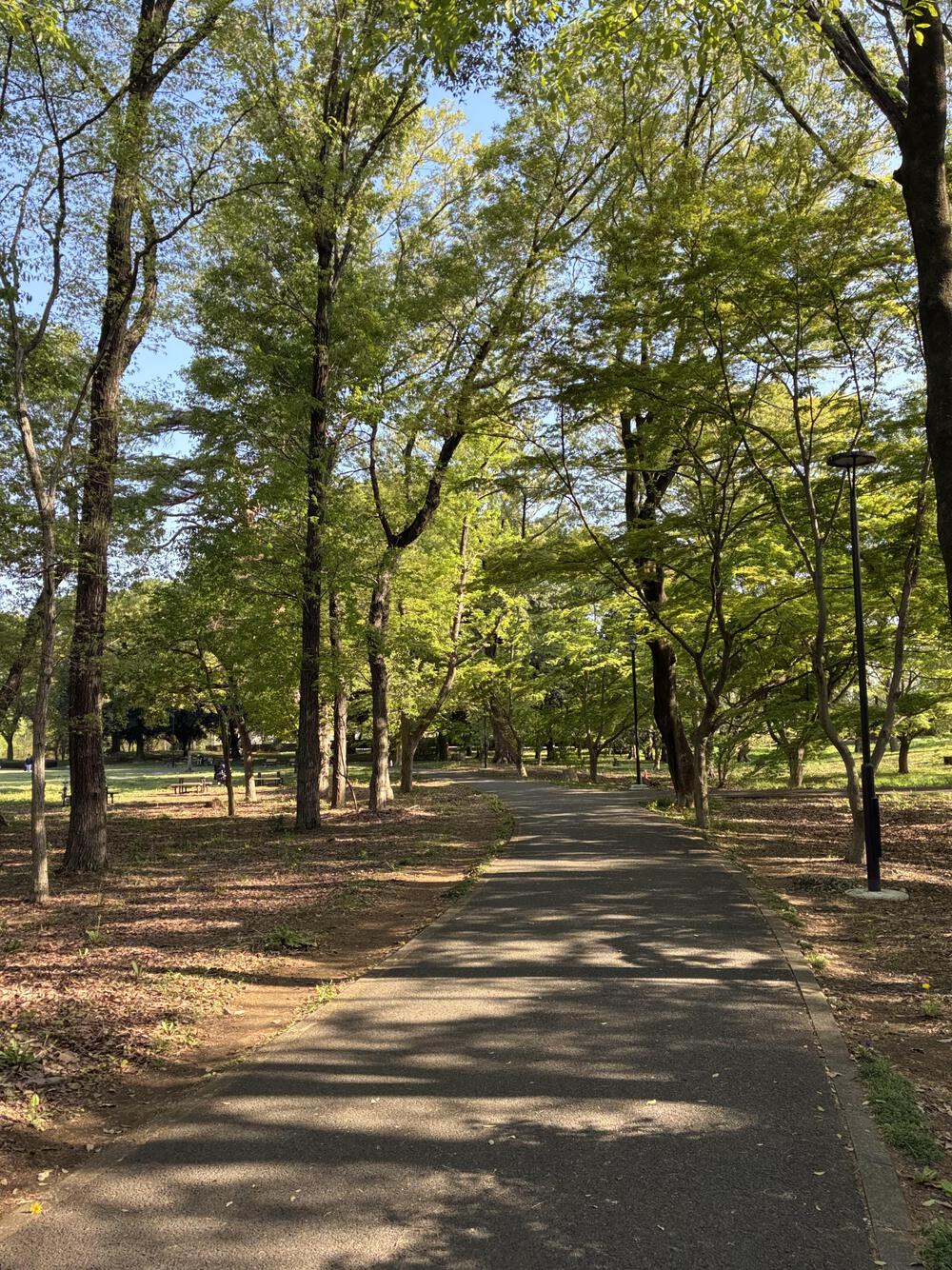 野川公園&武蔵野公園 贅沢横断周回コース 5.75kmの写真12