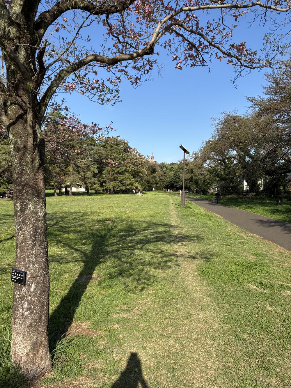 野川公園&武蔵野公園 贅沢横断周回コース 5.75kmの写真13