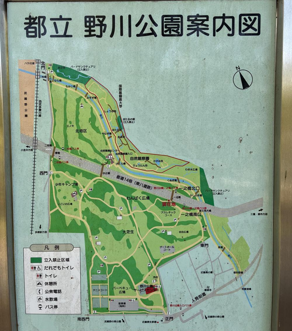 野川公園&武蔵野公園 贅沢横断周回コース 5.75kmの写真17