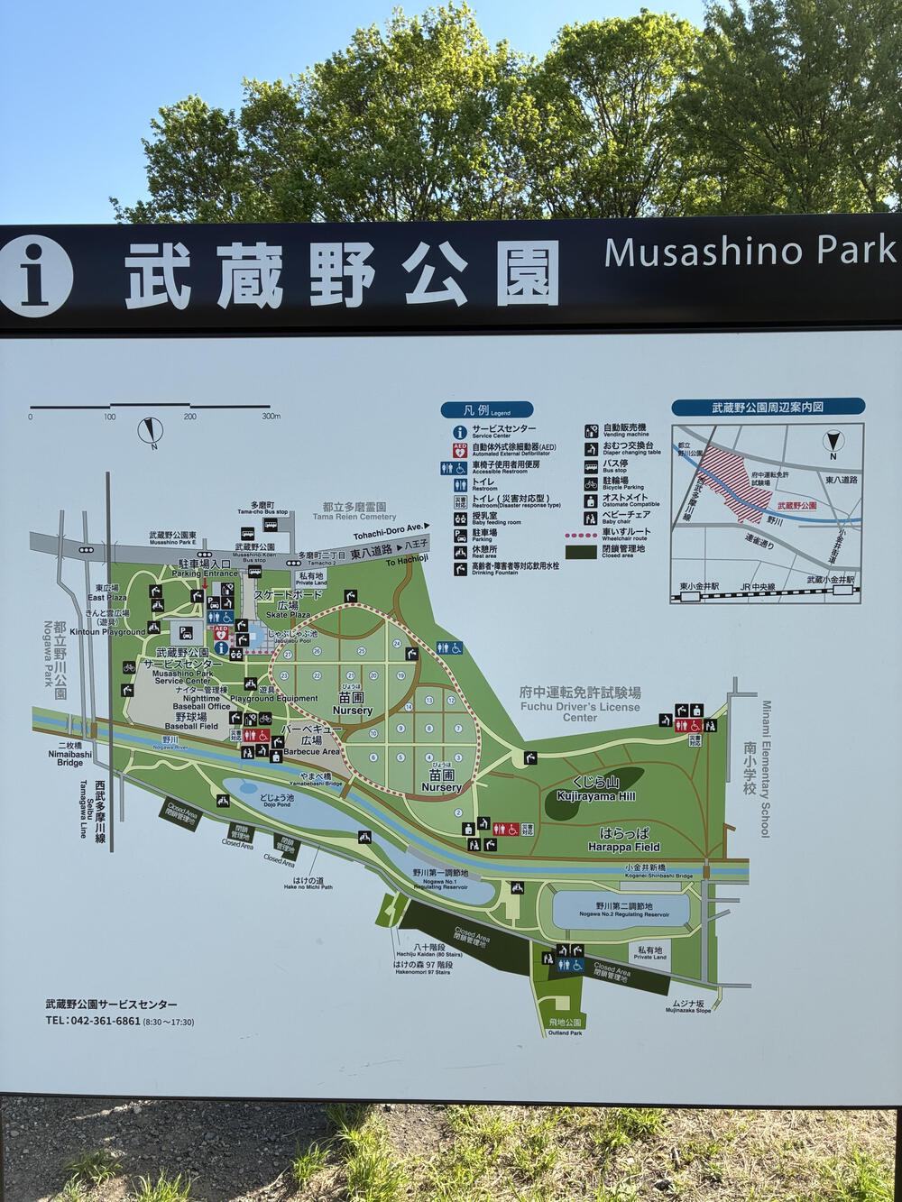 野川公園&武蔵野公園 贅沢横断周回コース 5.75kmの写真19