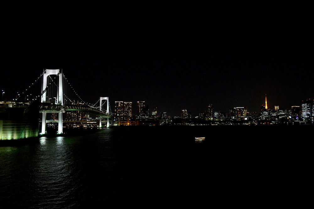 渋谷からお台場へ！片道10kmコースの写真6