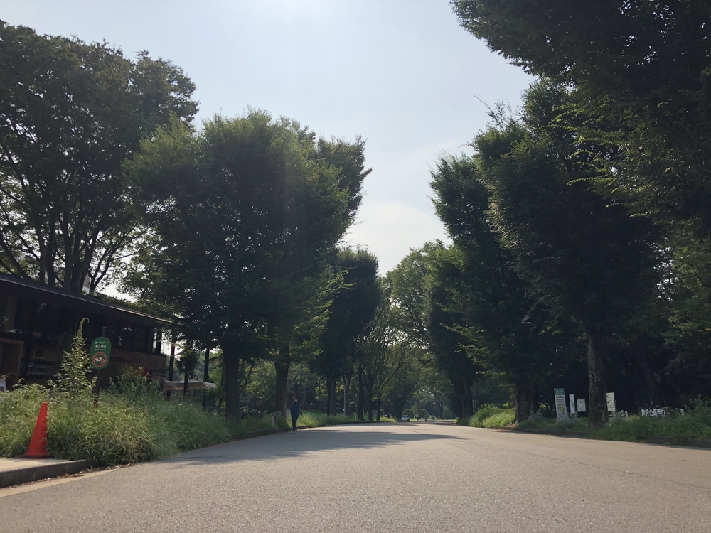 駒沢公園でライトに “RUN & COFFEE” を愉しむ。 の写真4
