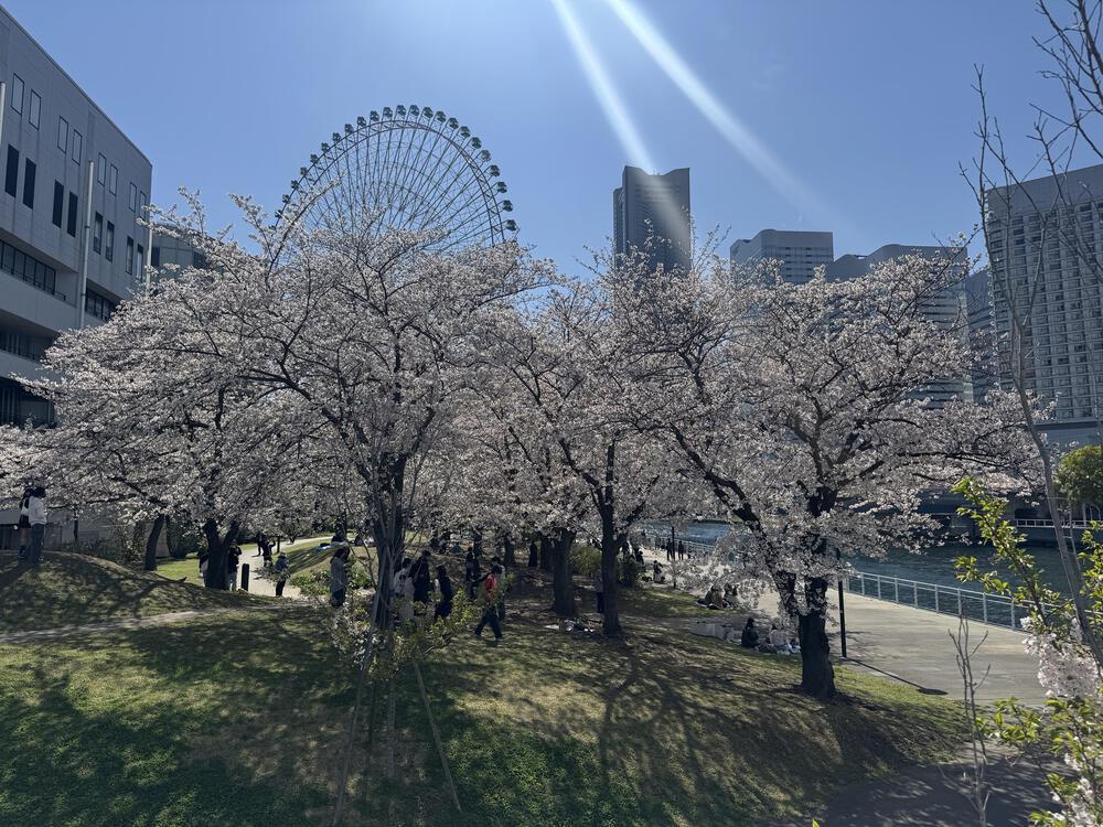 観光地をジョギングで楽しめます❣️🏃‍♂️³₃の写真4