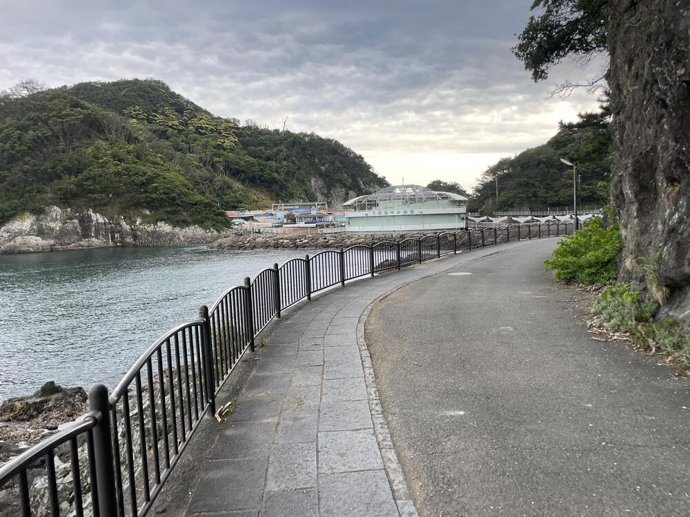 和歌の浦遊歩道から鍋田浜 4.5kmの写真4