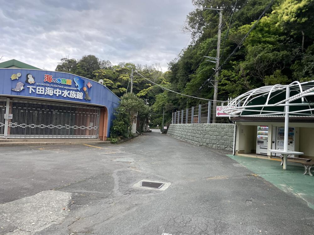 和歌の浦遊歩道から鍋田浜 4.5kmの写真6