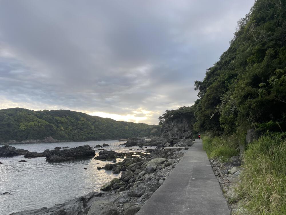 和歌の浦遊歩道から鍋田浜 4.5kmの写真8