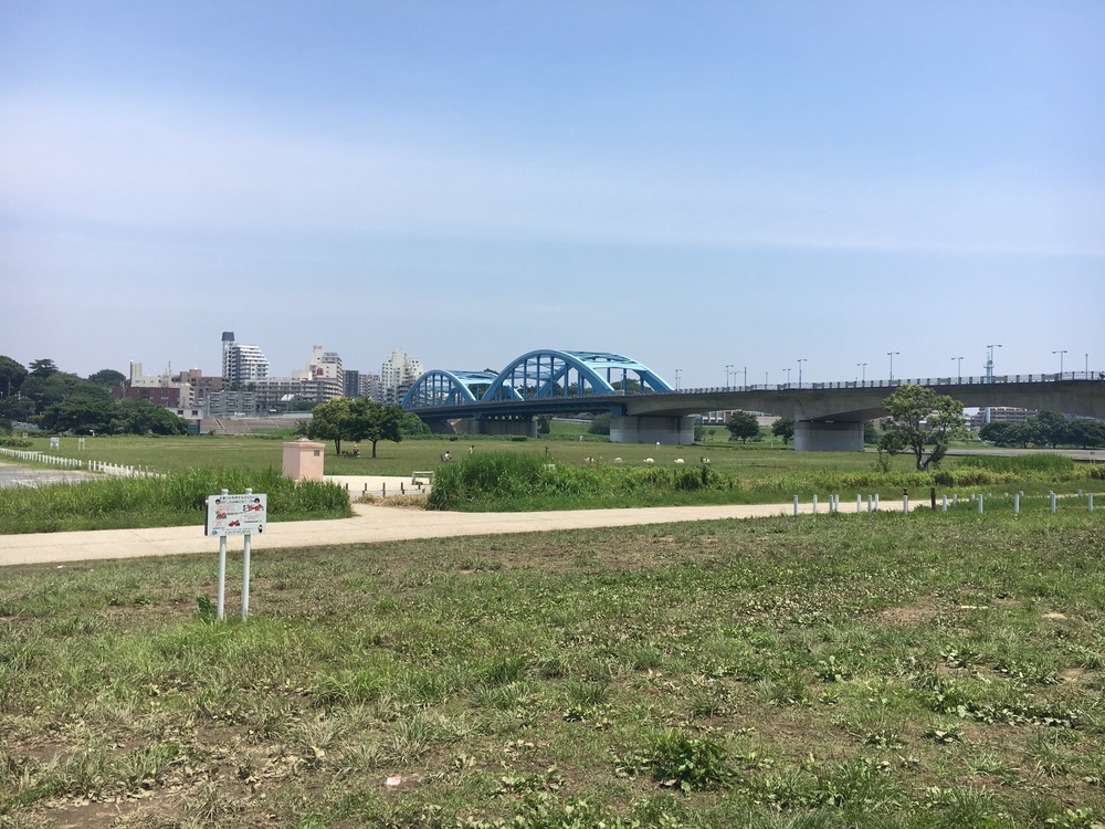 多摩川を二子玉川から河口へくだる。浮島町公園で飛行機を見る。の写真3