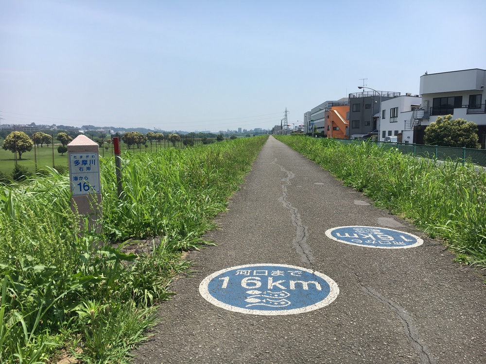 多摩川を二子玉川から河口へくだる。浮島町公園で飛行機を見る。の写真4