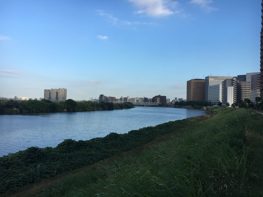 多摩川を二子玉川から河口へくだる。浮島町公園で飛行機を見る。の写真6