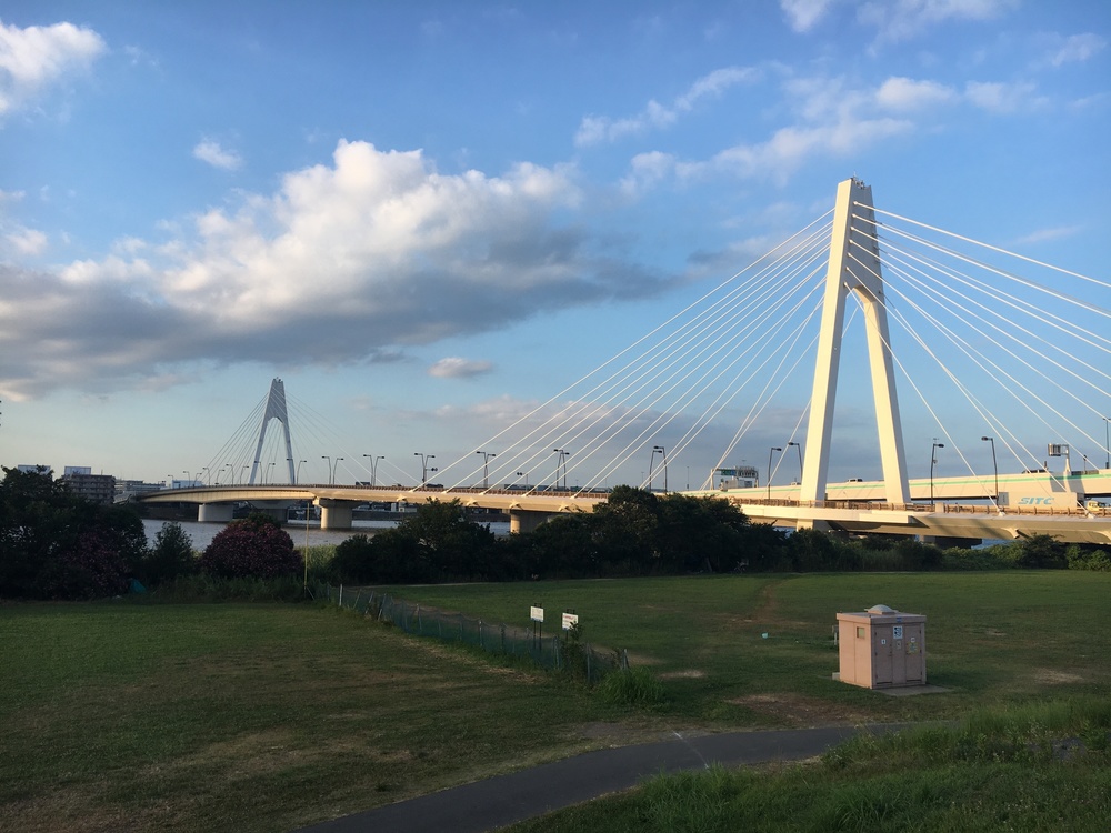 多摩川を二子玉川から河口へくだる。浮島町公園で飛行機を見る。の写真7