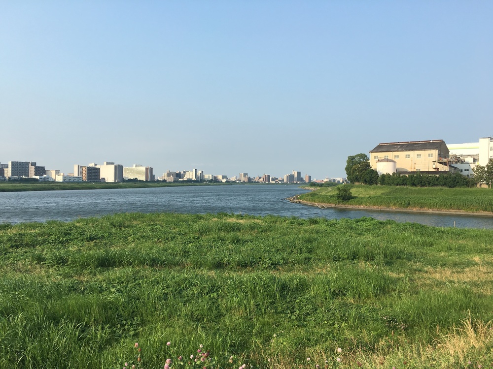 多摩川を二子玉川から河口へくだる。浮島町公園で飛行機を見る。の写真8